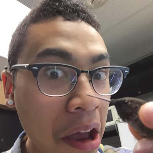 Photo of Dr. Derrick Groom